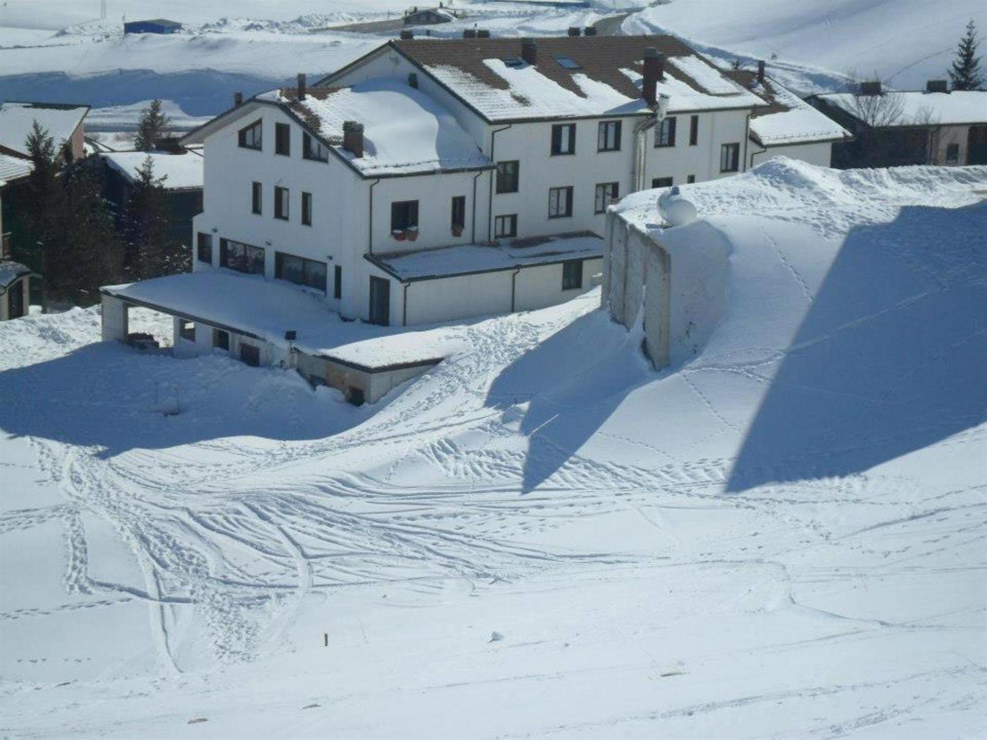 Hotel Lusi